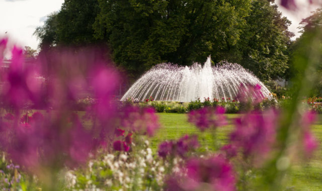 Blick auf Springbrunnen egapark BUGA